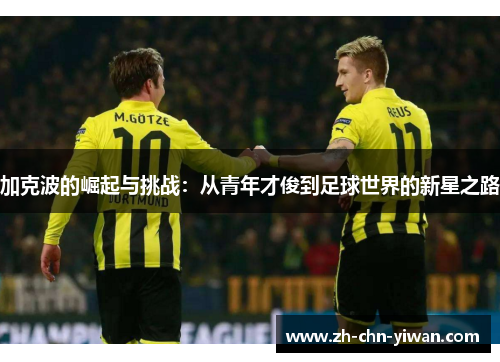 加克波的崛起与挑战：从青年才俊到足球世界的新星之路