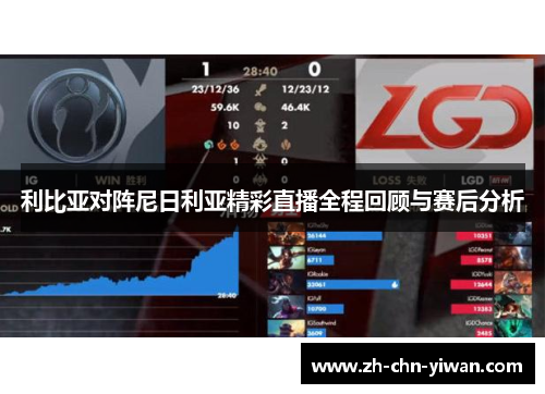 利比亚对阵尼日利亚精彩直播全程回顾与赛后分析